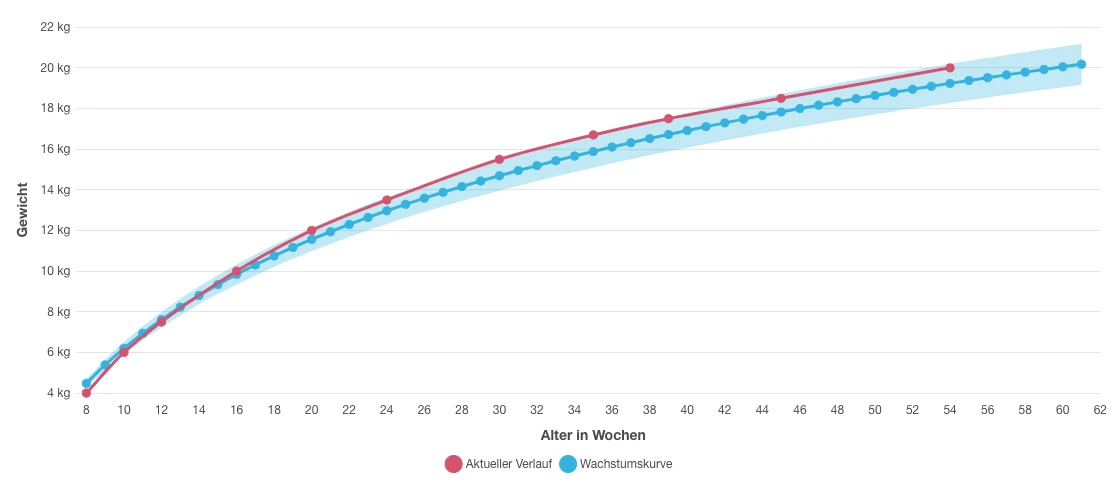 Wachstums- und Reduktionskurve für Welpen und Diätpläne